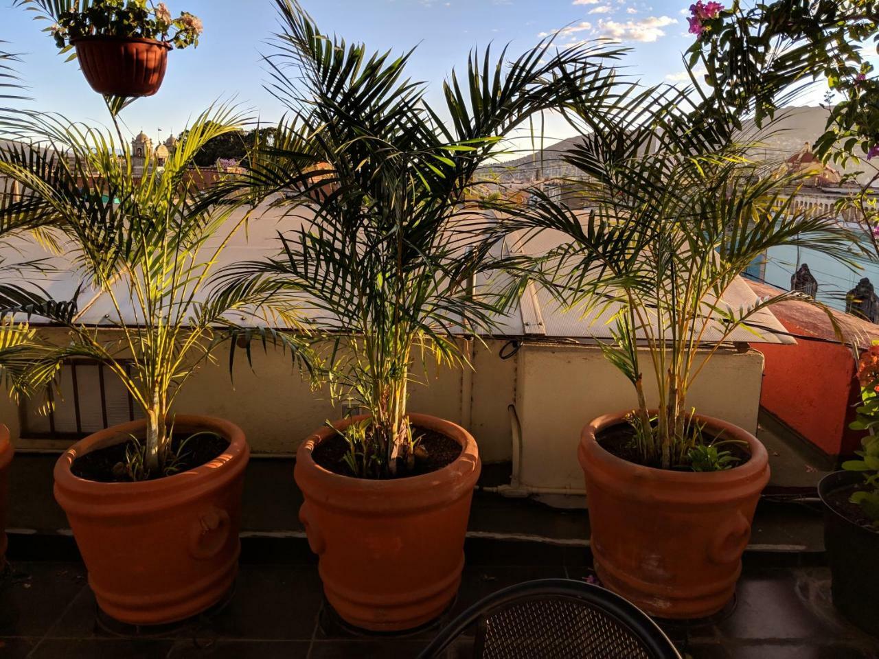 Hostal De Las Americas Oaxaca Buitenkant foto